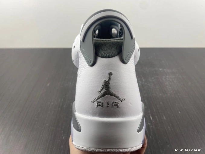 Jordan 6 Grey CT8529-100 Air Cool 0721